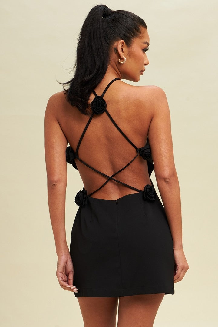 Divine Back